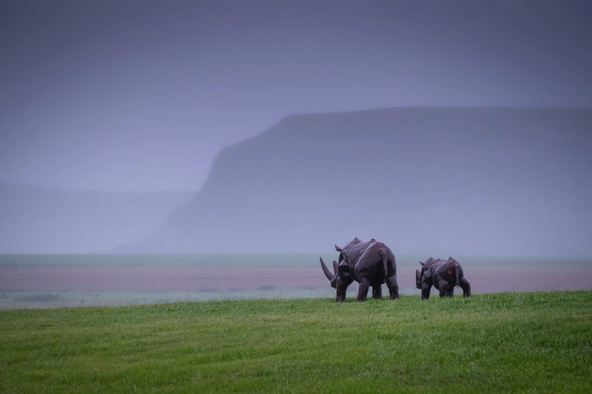 Rhinoceroses Walking Valley. Nature wallpaper. 6000×4000px. Free download for personal use.