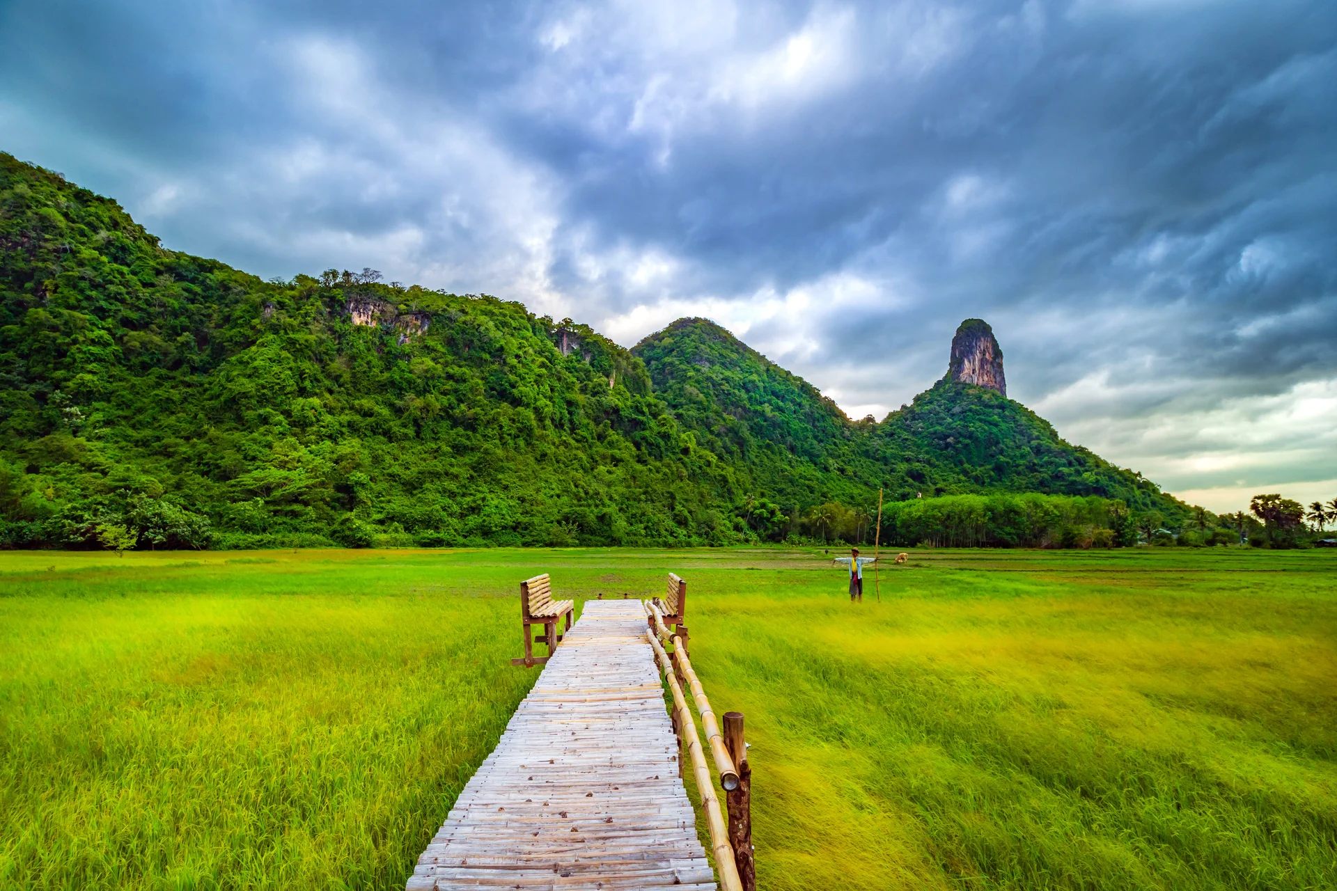 Rice Fields Mountains Rain Clouds. Nature wallpaper. 5184×3456px. Free download for personal use.