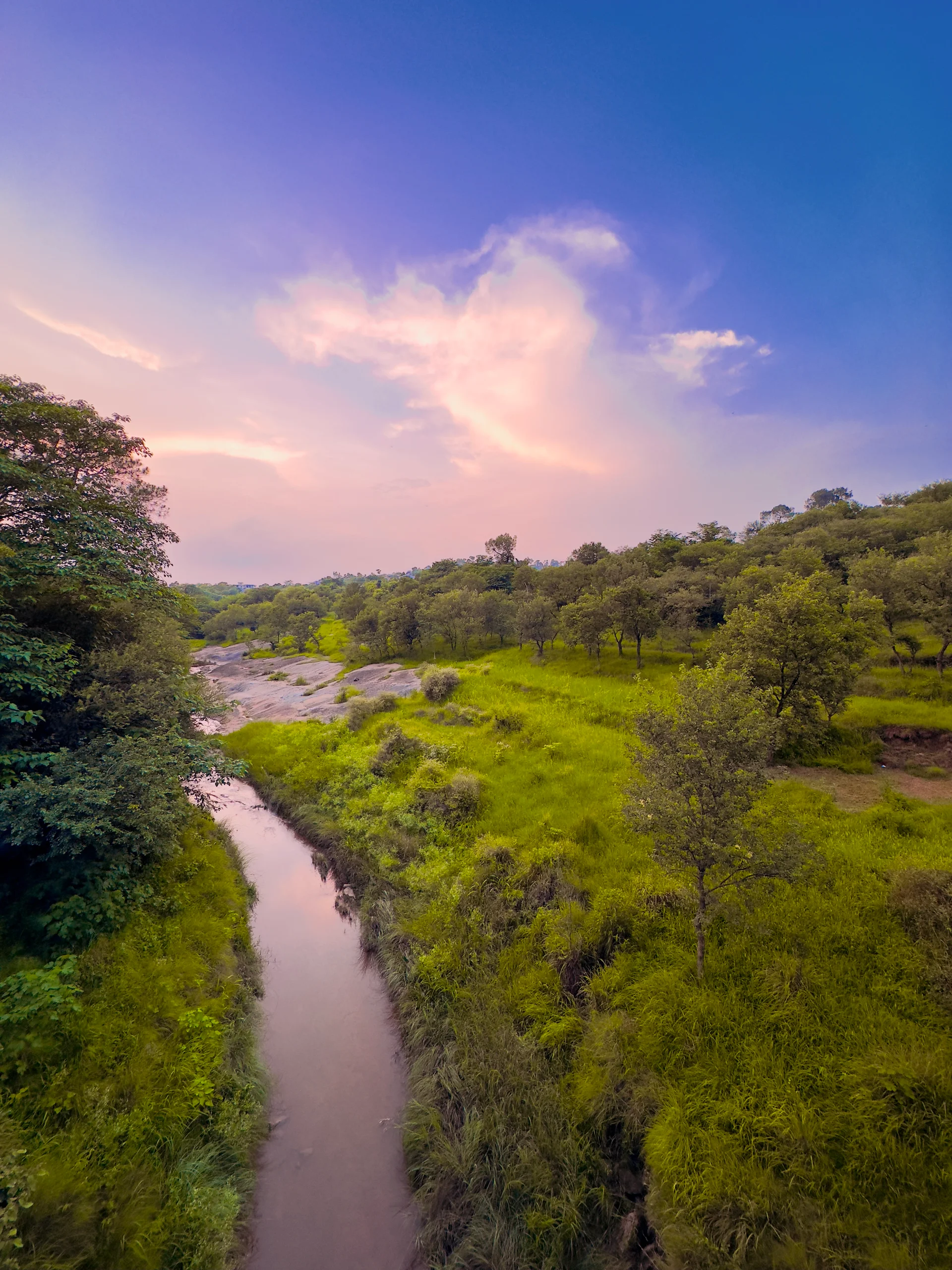 River Running Through Forest With Trees Sky With Clouds. Nature wallpaper. 3024×4032px. Free download for personal use.