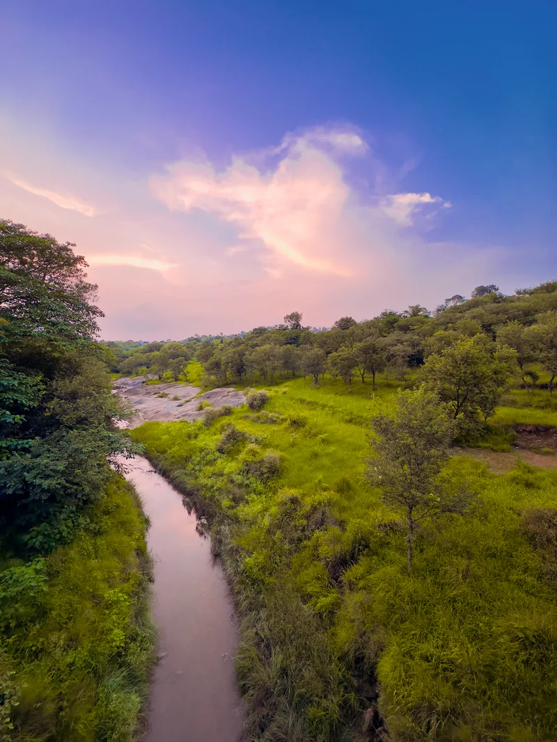 River Running Through Forest With Trees Sky With Clouds