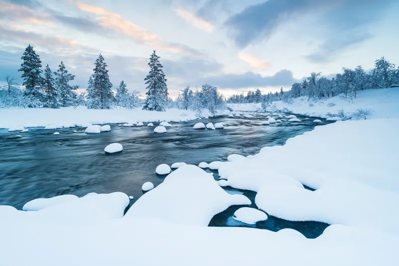 River With Snow It Forest Near Covered With Snow Winter Sweden