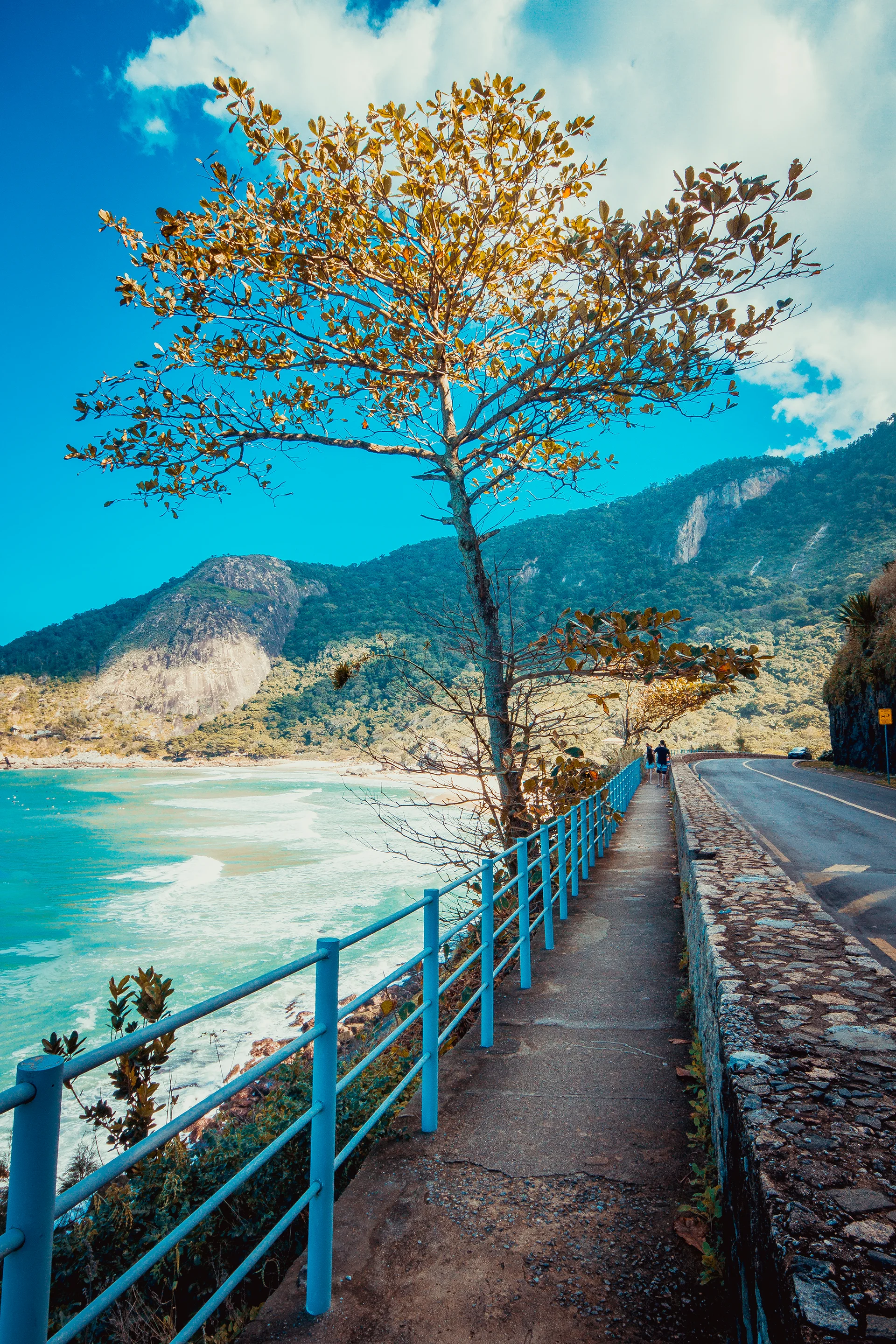 Road By Sea Against Sky. Nature wallpaper. 2048×3072px. Free download for personal use.