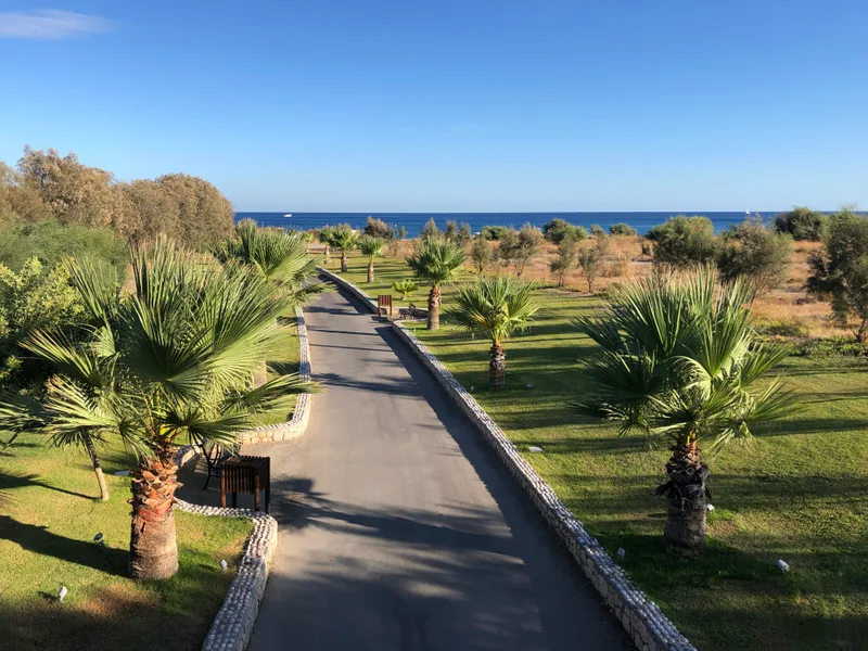 Road With Gardens Sea Horizon