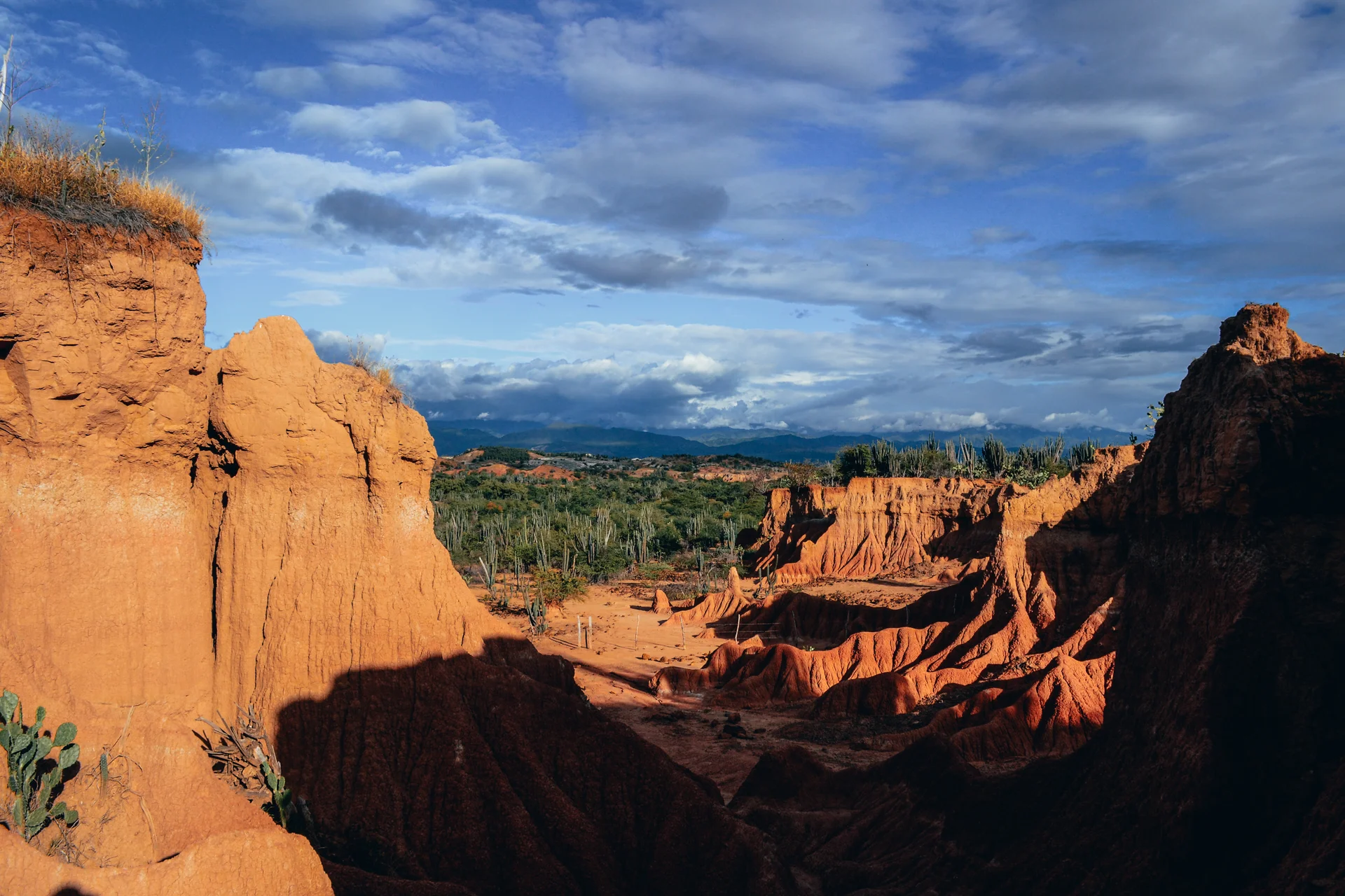 Rocks Wild Plants Cloudy Sky Tatacoa Desert Colombia. Nature wallpaper. 4608×3072px. Free download for personal use.
