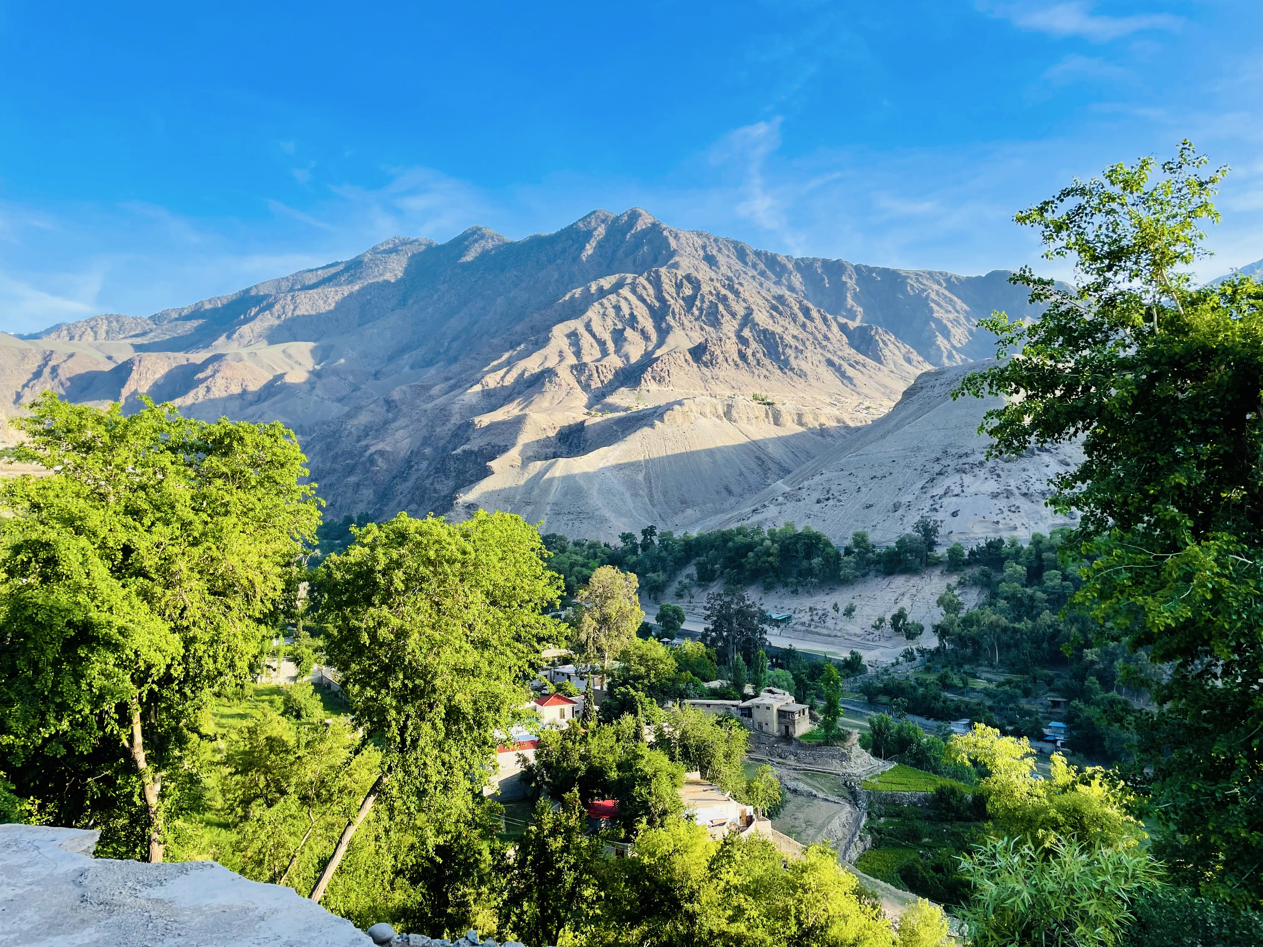 Rocky Mountain Meadow With Larch Trees Mountain Range Background