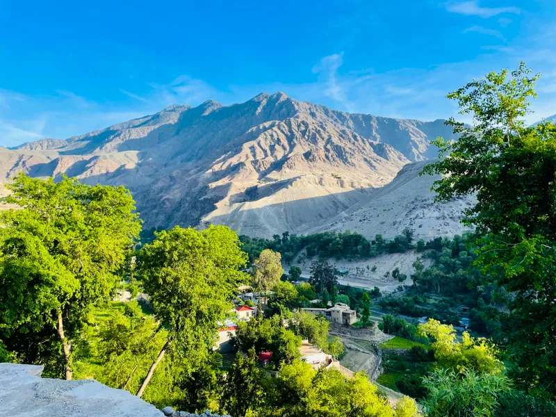Rocky Mountain Meadow With Larch Trees Mountain Range Background