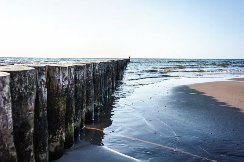 Row Wooden Logs Beach Sianozety Poland