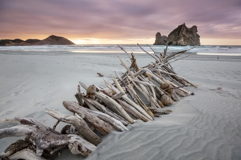 Sand Dune Pacific Ocean Beach New Zealand