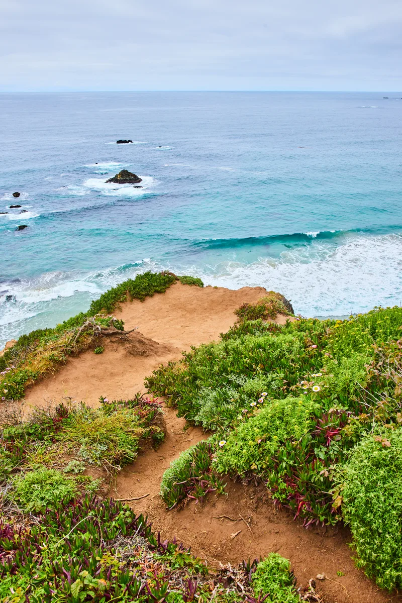 Sandy Green Trail Overlooking Scenic Teal Navy Blue Ocean Waves Breaking Against Unseen Shore