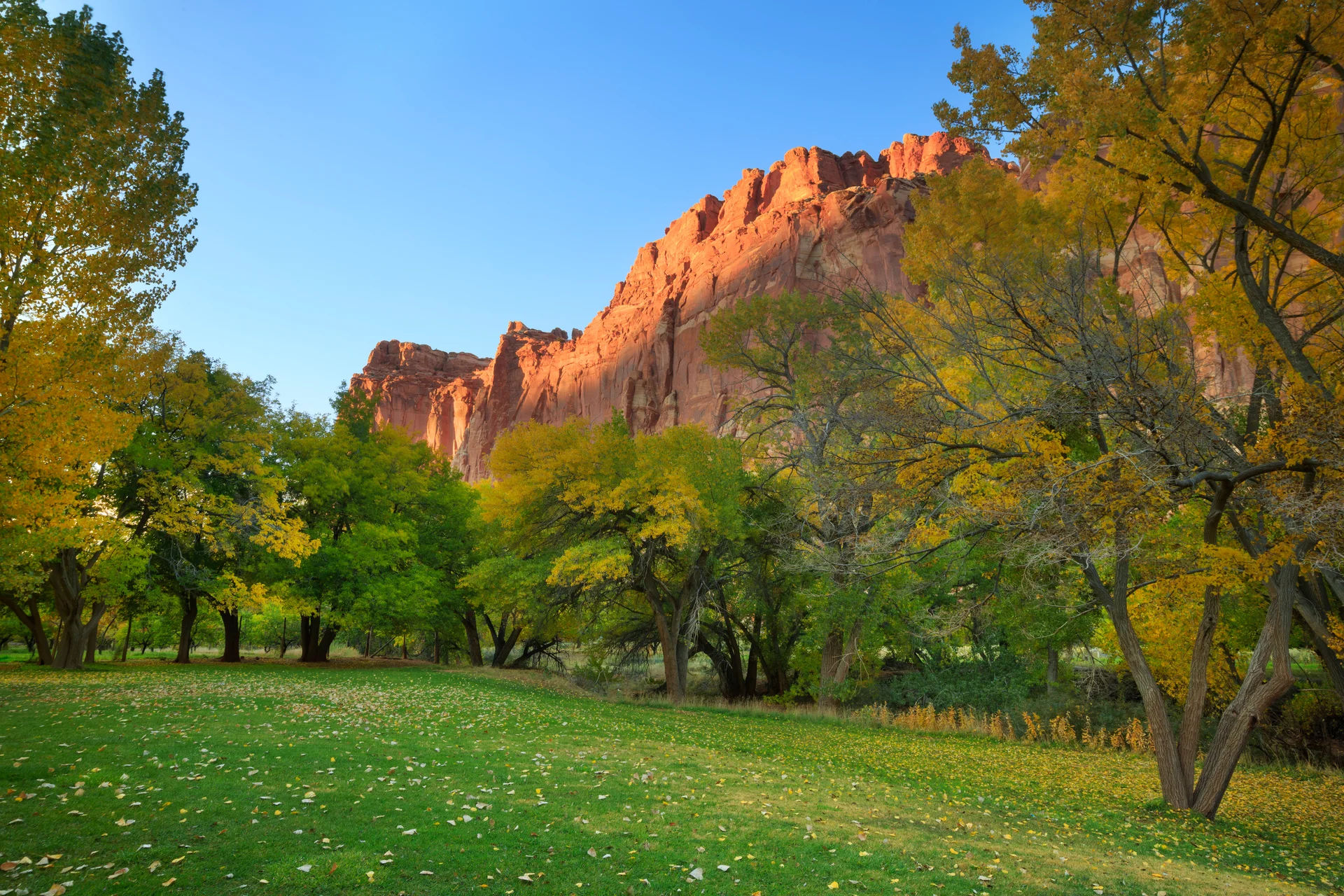 Scene Capitol Reef National Park. Uncategorized wallpaper. 4500×3000px. Free download for personal use.