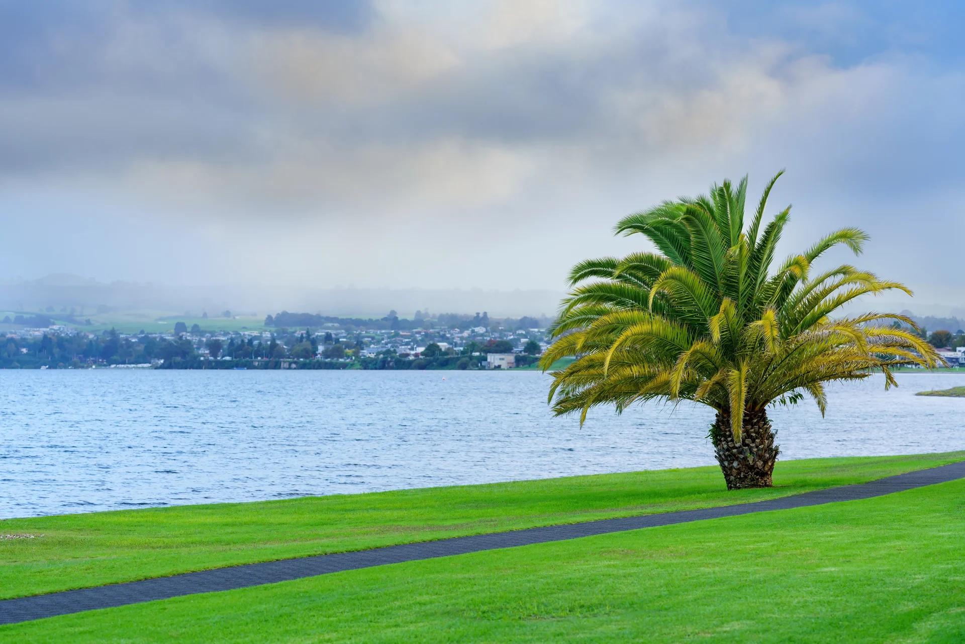 Scenery Lake Taupo Morning North Island New Zealand. Nature wallpaper. 7952×5304px. Free download for personal use.