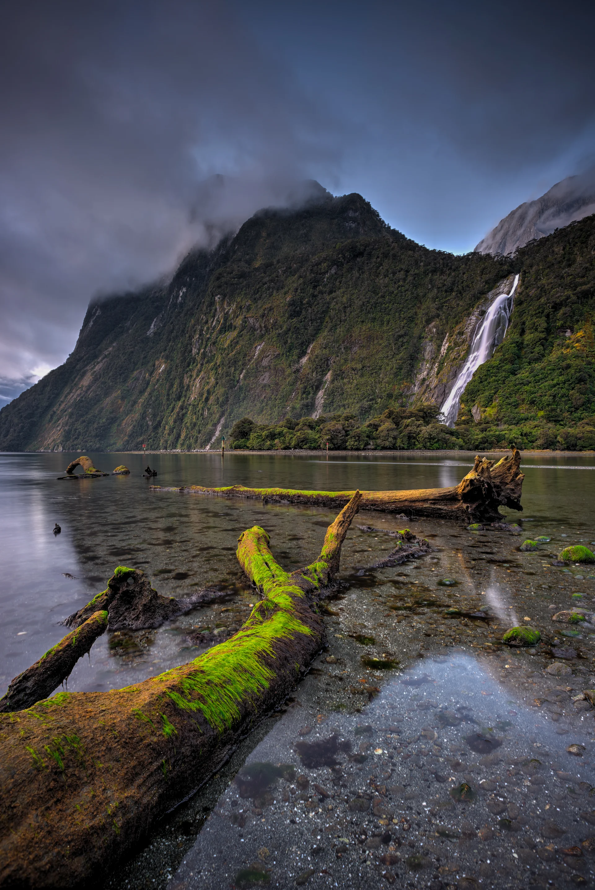 Scenic Shot Logs Calm Lake. Nature wallpaper. 2003×2995px. Free download for personal use.