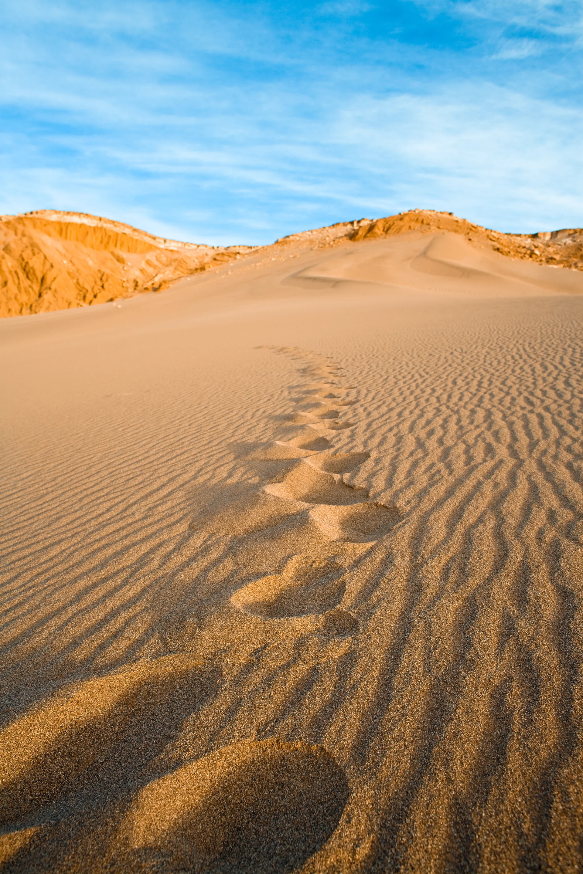 Scenic View Desert Against Sky. Nature wallpaper. 3328×4992px. Free download for personal use.