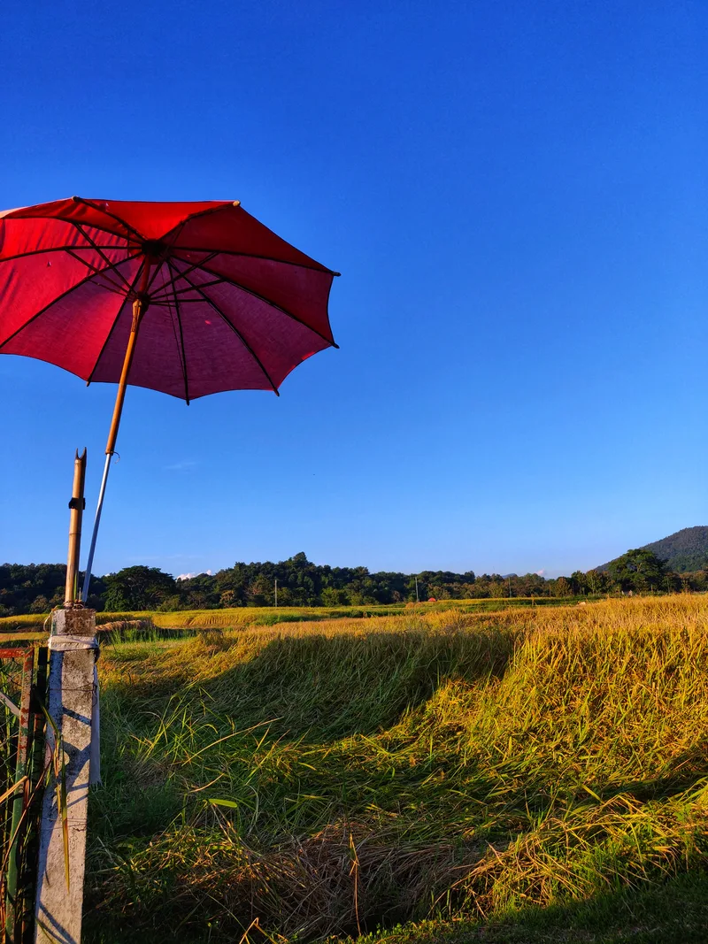 Scenic View Field Against Clear Blue Sky