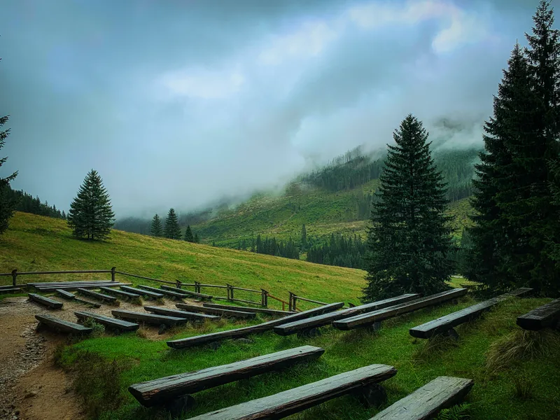 Scenic View Grassy Field Against Sky
