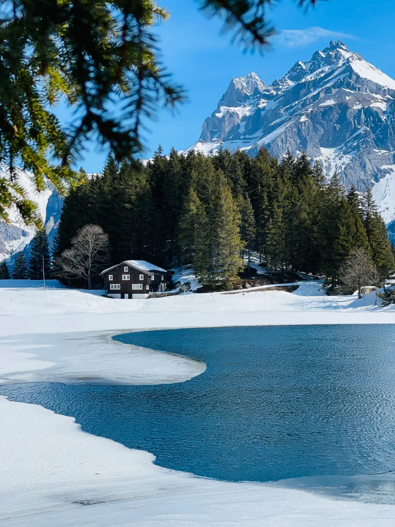 Scenic View Snow Covered Landscape
