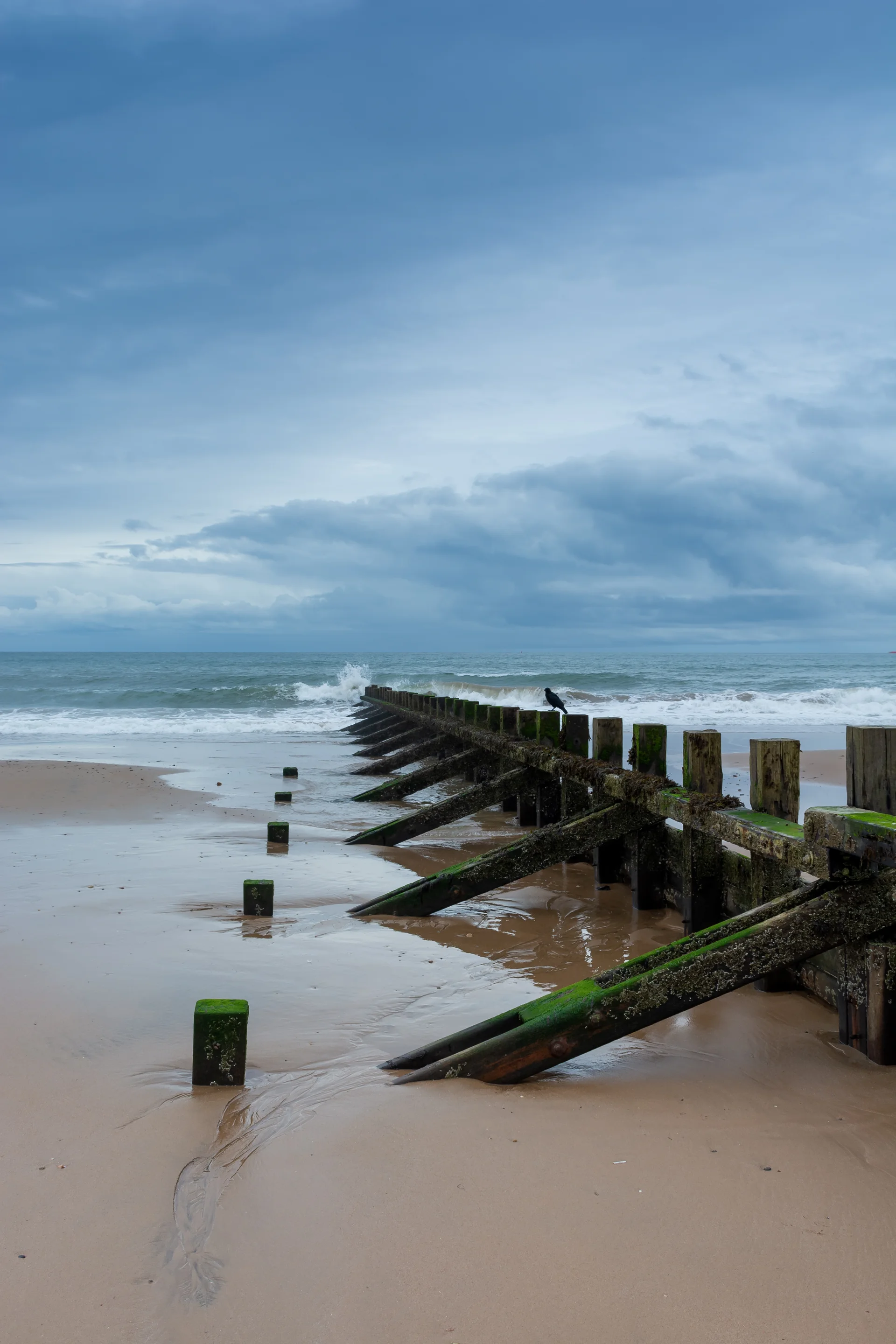 Scottish Coast North Sea Beautiful Seascape. Uncategorized wallpaper. 4000×6000px. Free download for personal use.