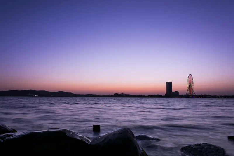 Sea Night