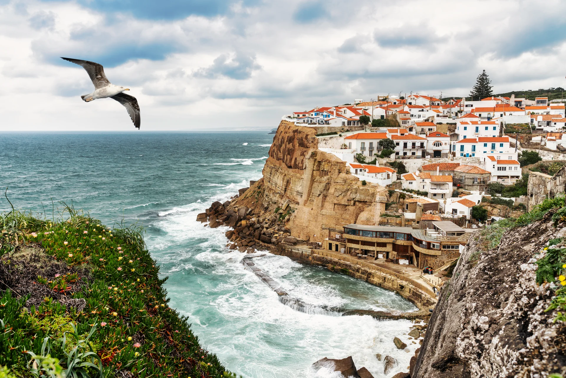 Seagull Flying Typical Fishing Village Azenhas Mar Sintra Portugal. Uncategorized wallpaper. 7713×5145px. Free download fo…
