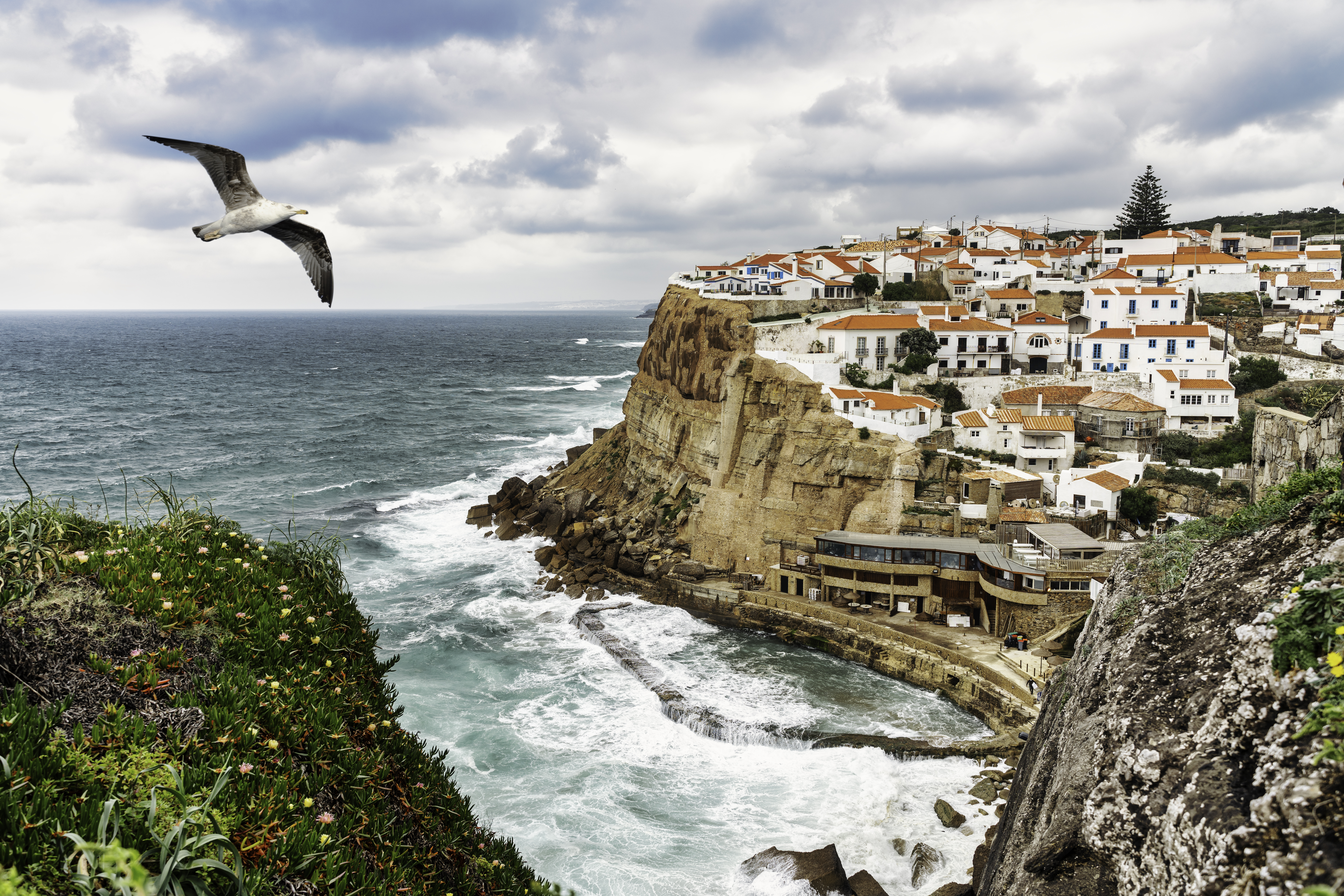 Seagull Flying Typical Fishing Village Azenhas Mar Sintra Portugal