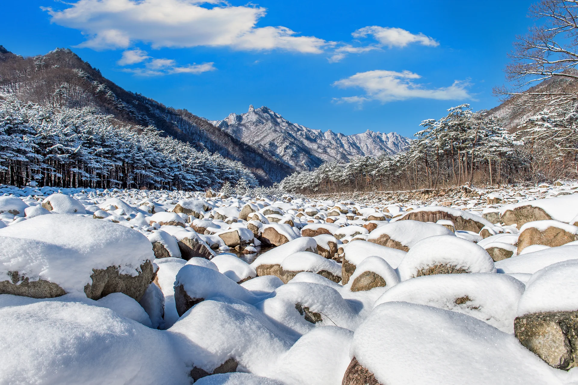 Seoraksan Mountains Is Covered By Snow Winter South Korea. Nature wallpaper. 4928×3280px. Free download for personal use.