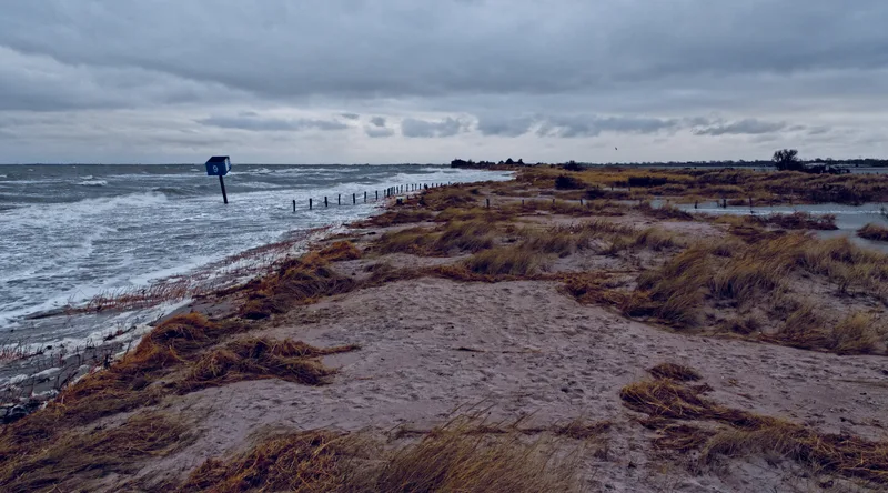 Shore Covered Grass Surrounded By Sea Cloudy Sky