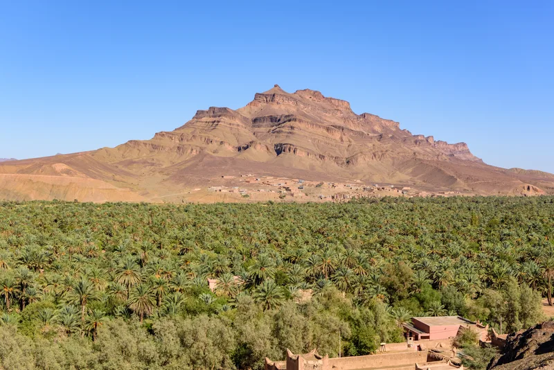 Shot Tizin Tinififft Tamnougalt Morocco