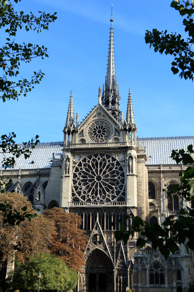 Side Entrance Distinctive Rose Windows Famous Notre Dame Cathedral Paris