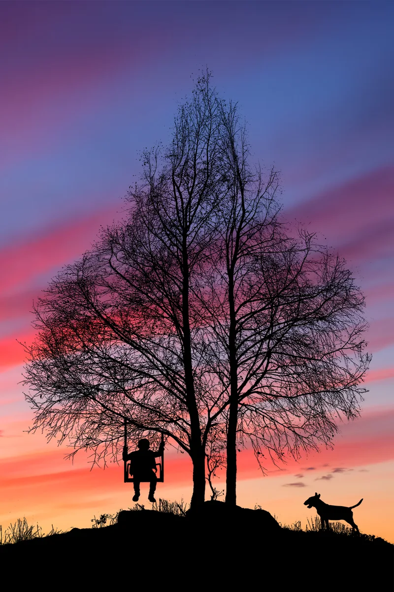 Silhouette Tree Form Heart With Swing With Child Dog Sunset High Quality Photo