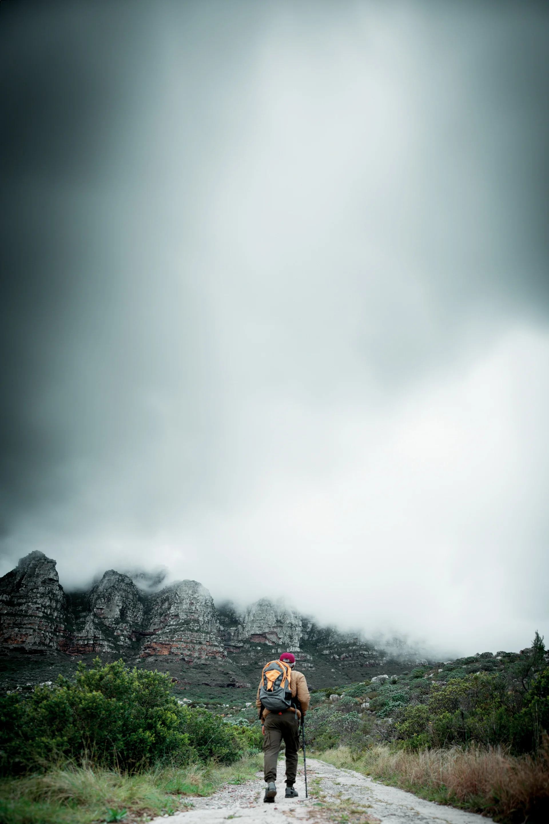 Sky Mockup Man Trail Hiking Outdoor Adventure Journey Nature Travel Walking Hiker Healthy Back Person Path Woods Holiday E…