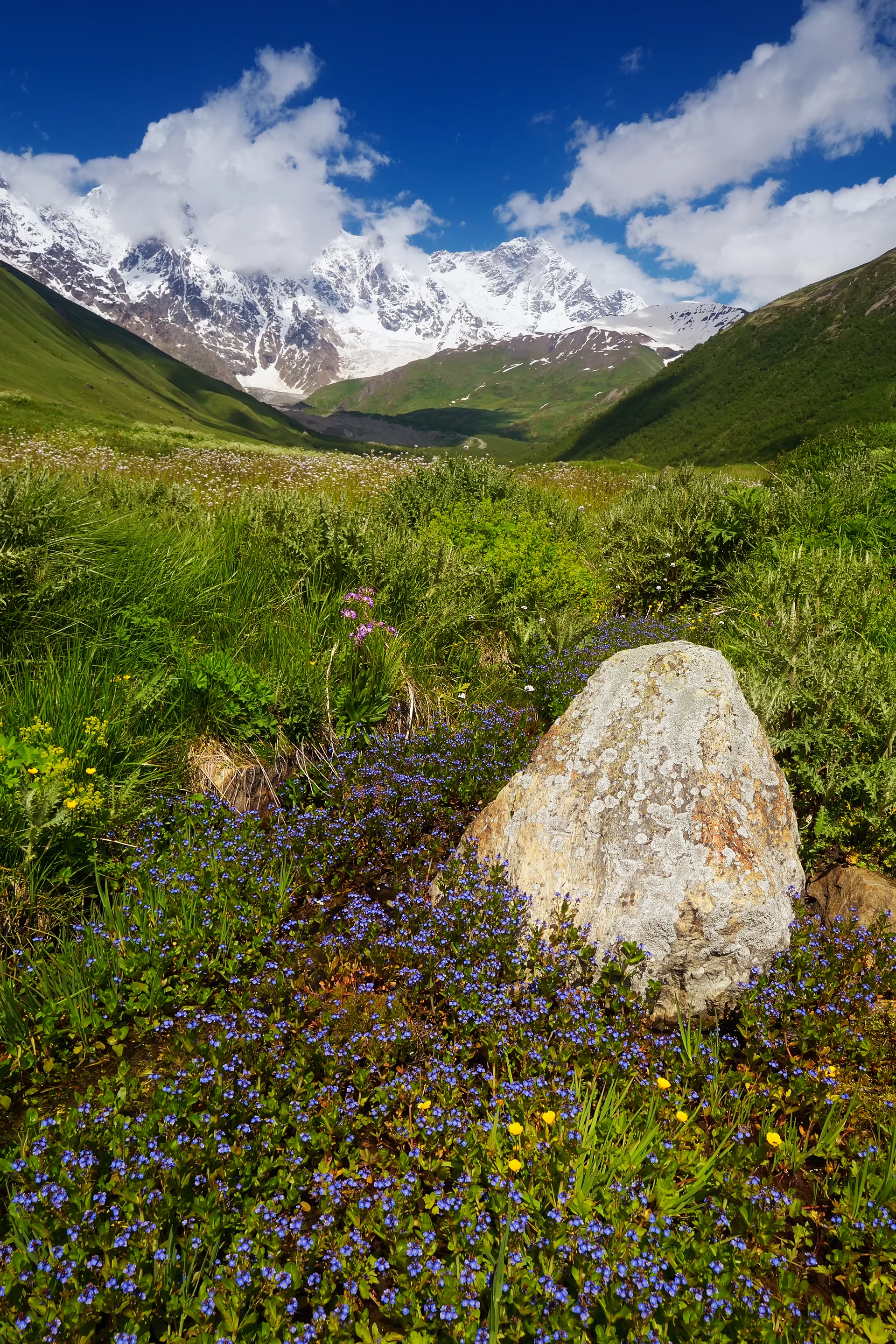 Summer Landscape Mountains Sunny Day Beautiful Nature Main Caucasian Ridge Zemo Svaneti Georgia. Nature wallpaper. 3000×44…