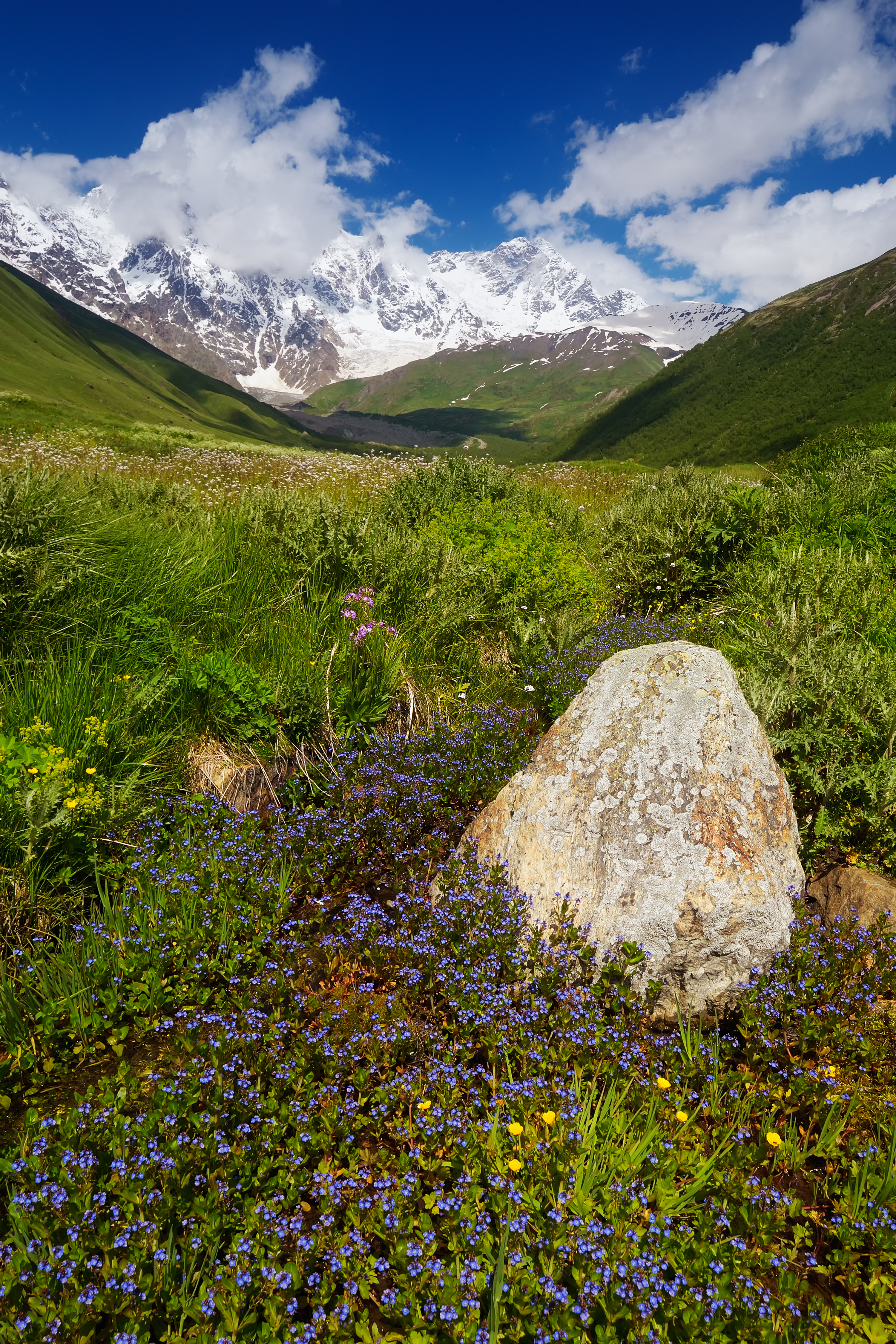 Summer Landscape Mountains Sunny Day Beautiful Nature Main Caucasian Ridge Zemo Svaneti Georgia