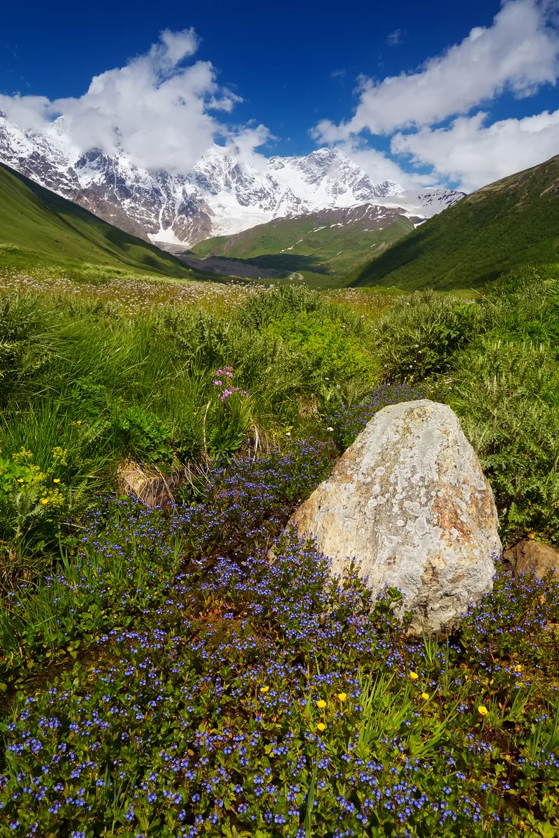 Summer Landscape Mountains Sunny Day Beautiful Nature Main Caucasian Ridge Zemo Svaneti Georgia