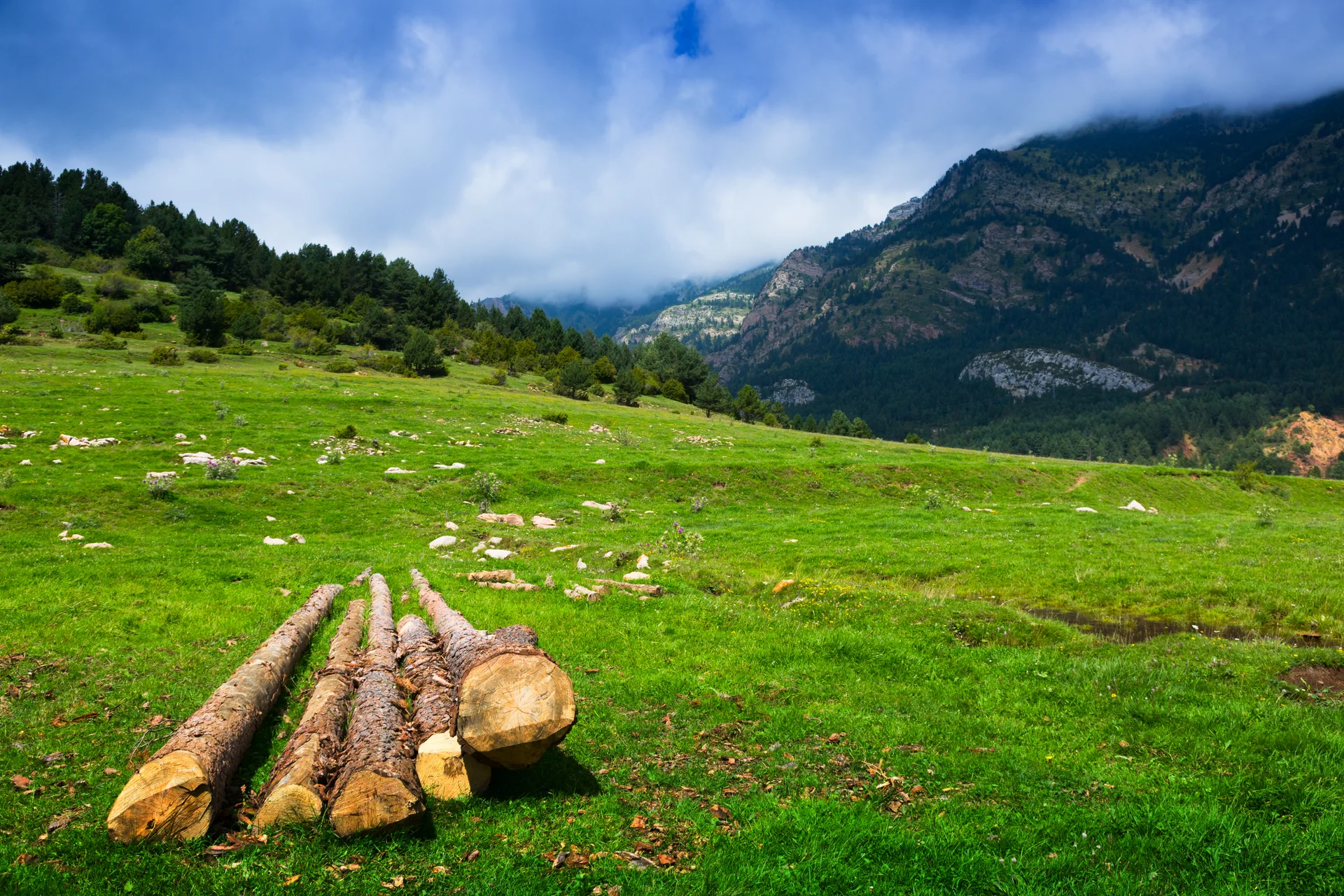 Summer View Highland Meadow With Cloudy Sky. Nature wallpaper. 5760×3840px. Free download for personal use.