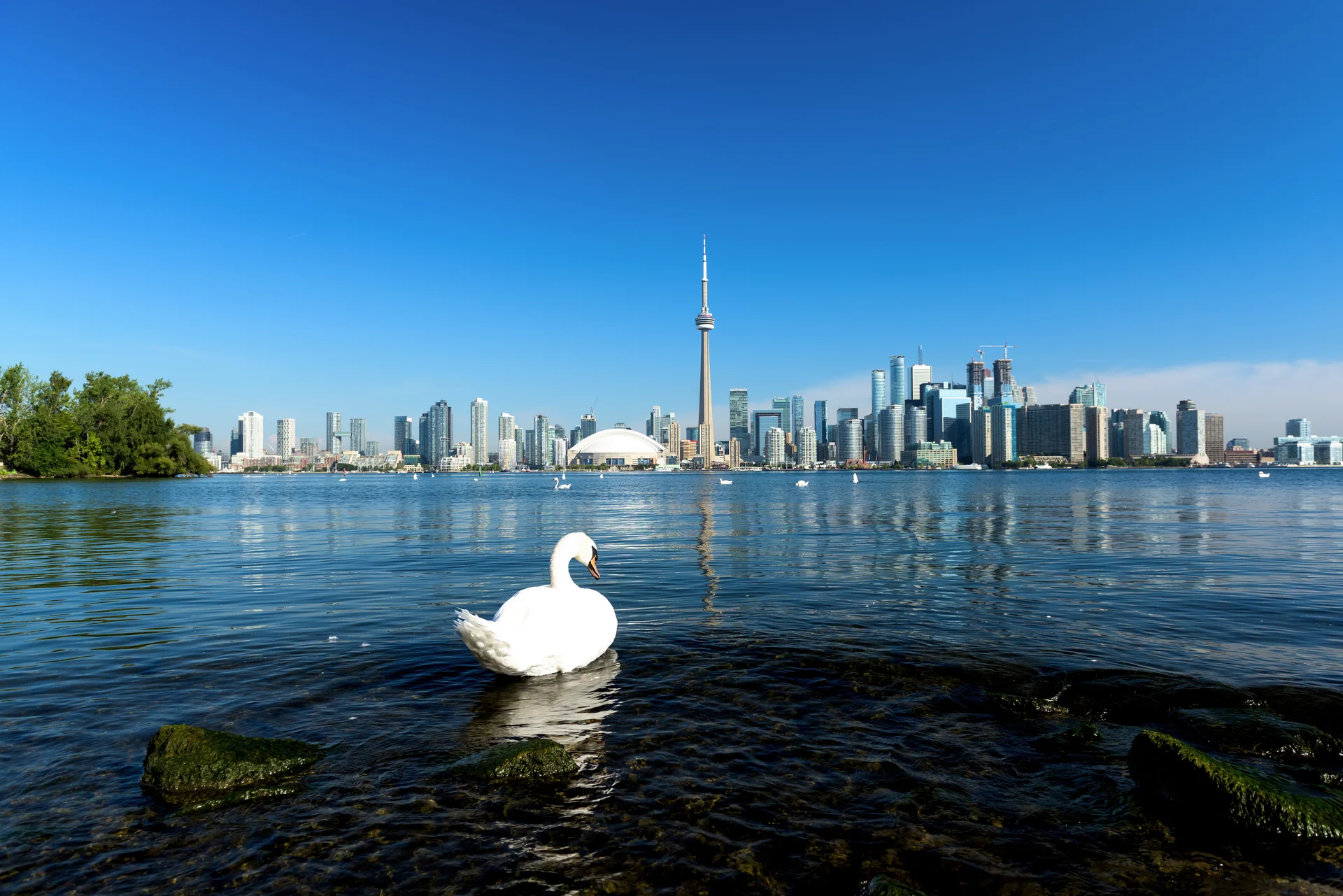 Toronto City Skyline Ontario Canada. Cities wallpaper. 5000×3337px. Free download for personal use.
