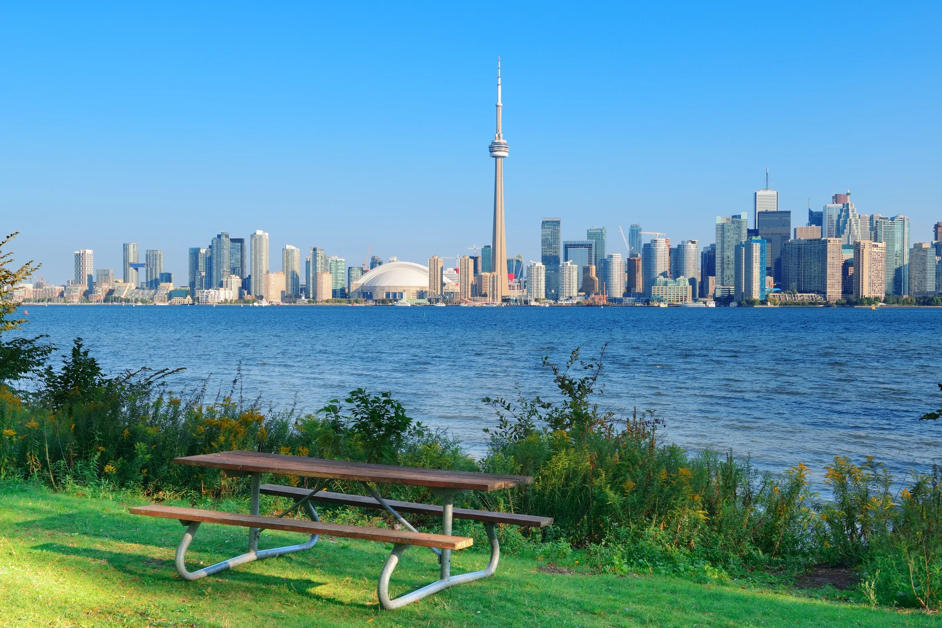Toronto Skyline From Park. Aerial wallpaper. 7234×4828px. Free download for personal use.