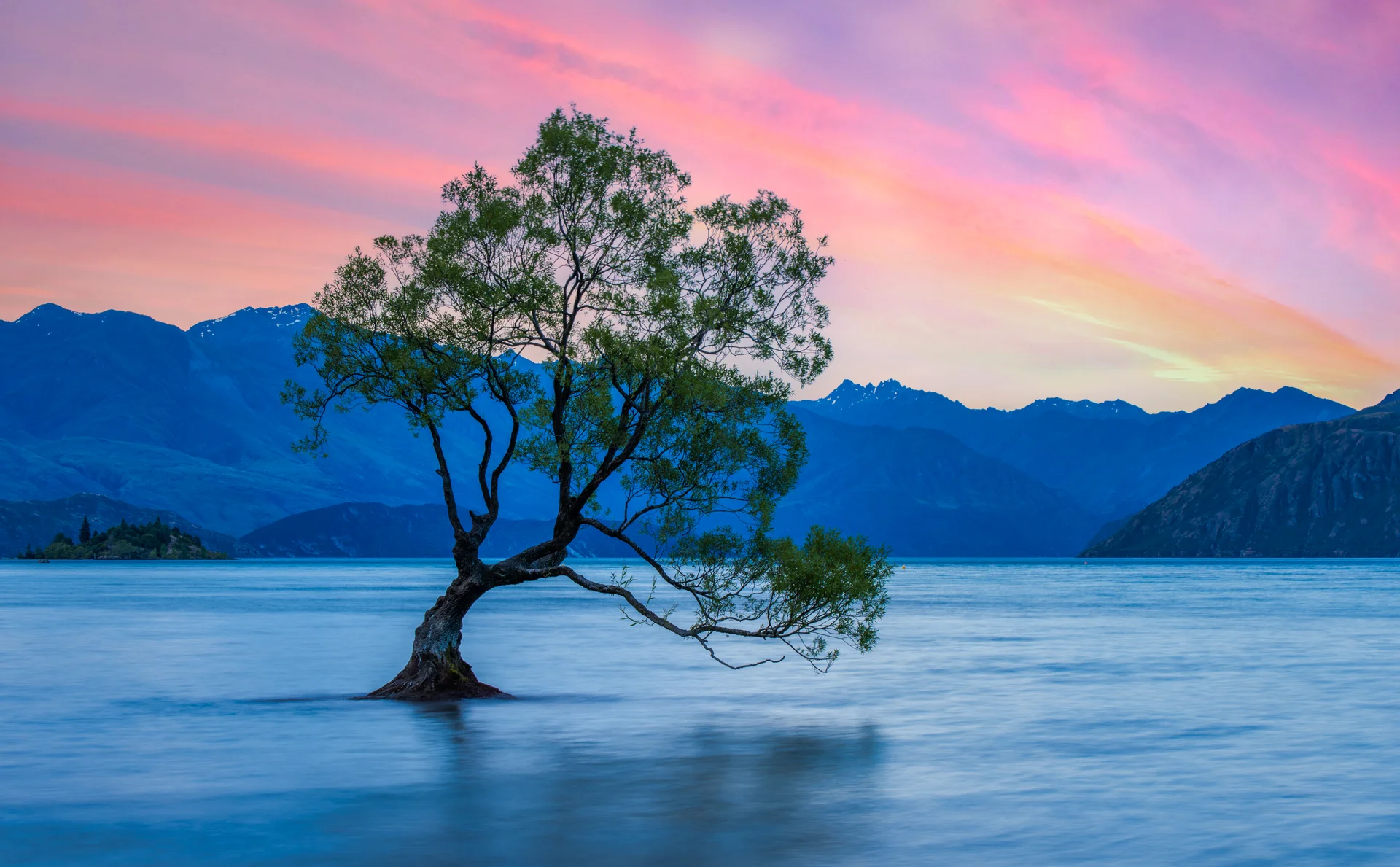Tree By Lake Against Sky Sunset. Nature wallpaper. 7360×4556px. Free download for personal use.