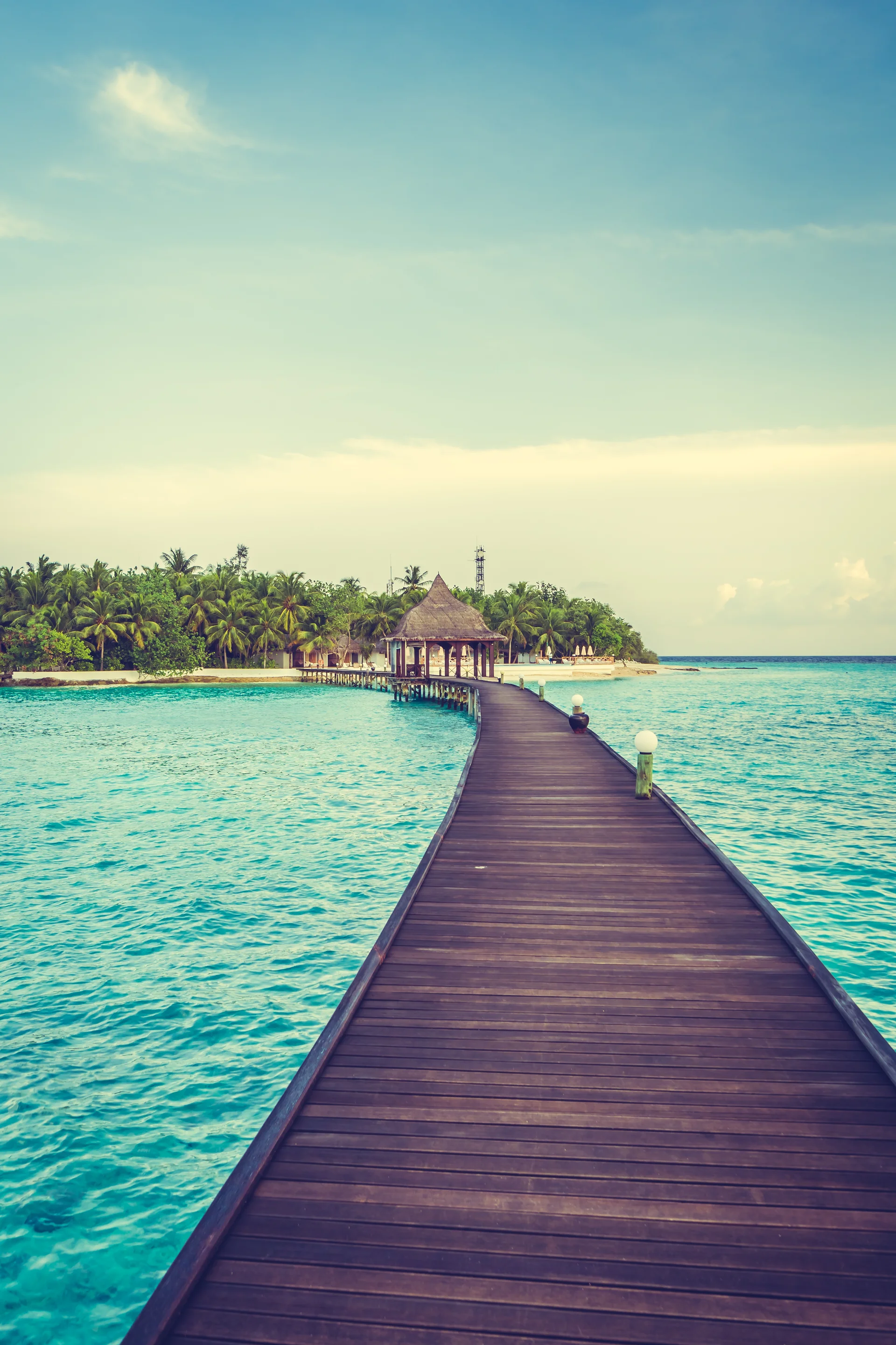 Tree Sky Nature Landscape Maldives. Nature wallpaper. 4000×6000px. Free download for personal use.