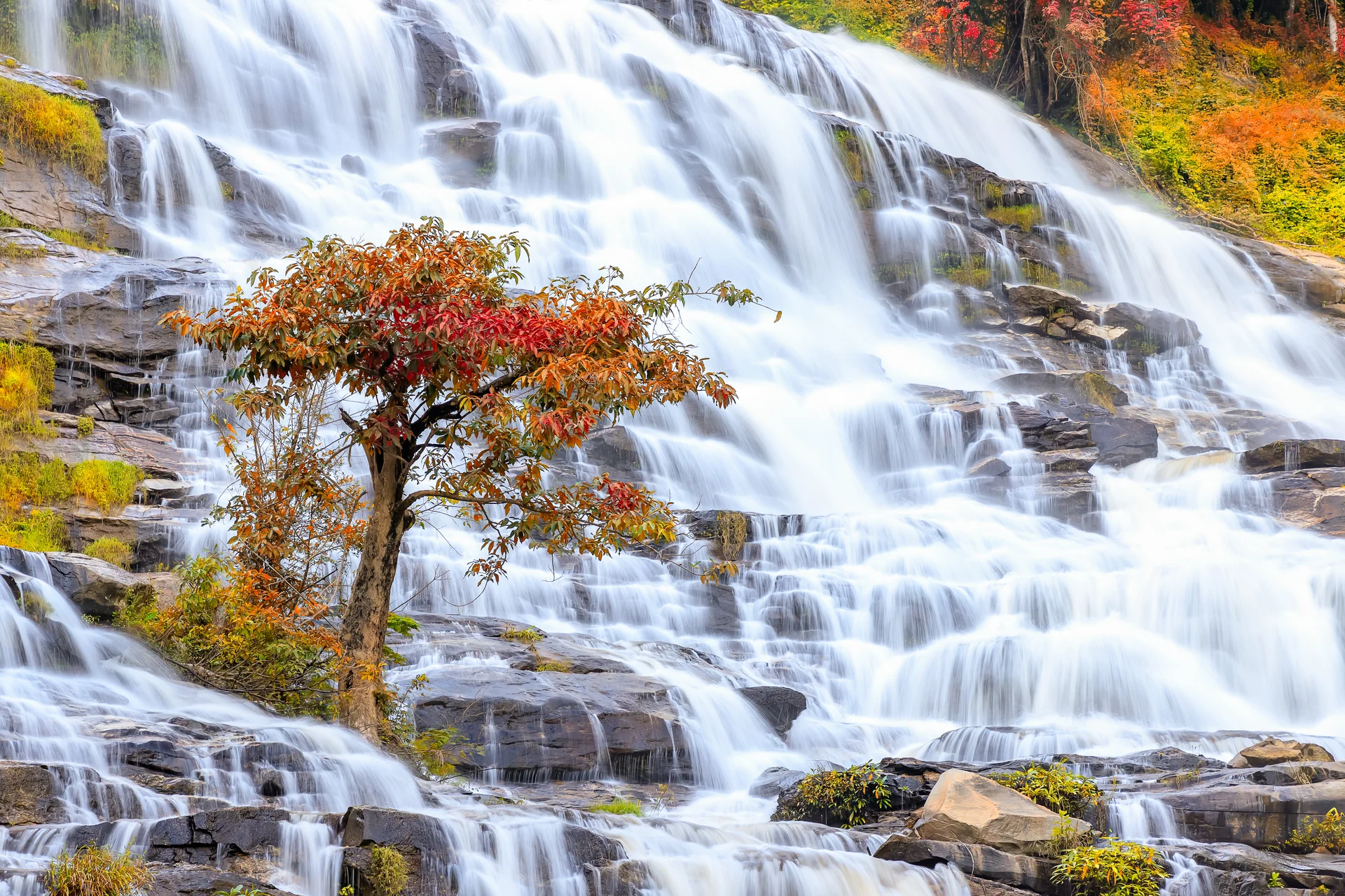 Tree Waterfall Background Autumn. Nature wallpaper. 6000×4000px. Free download for personal use.