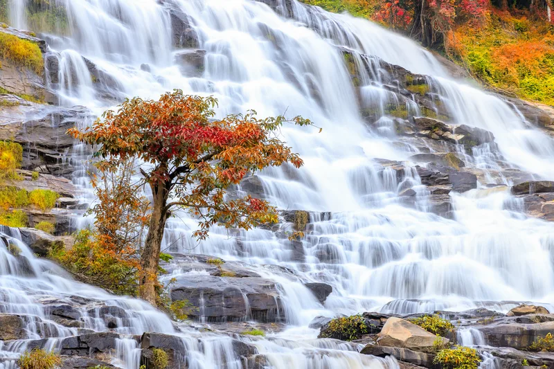 Tree Waterfall Background Autumn