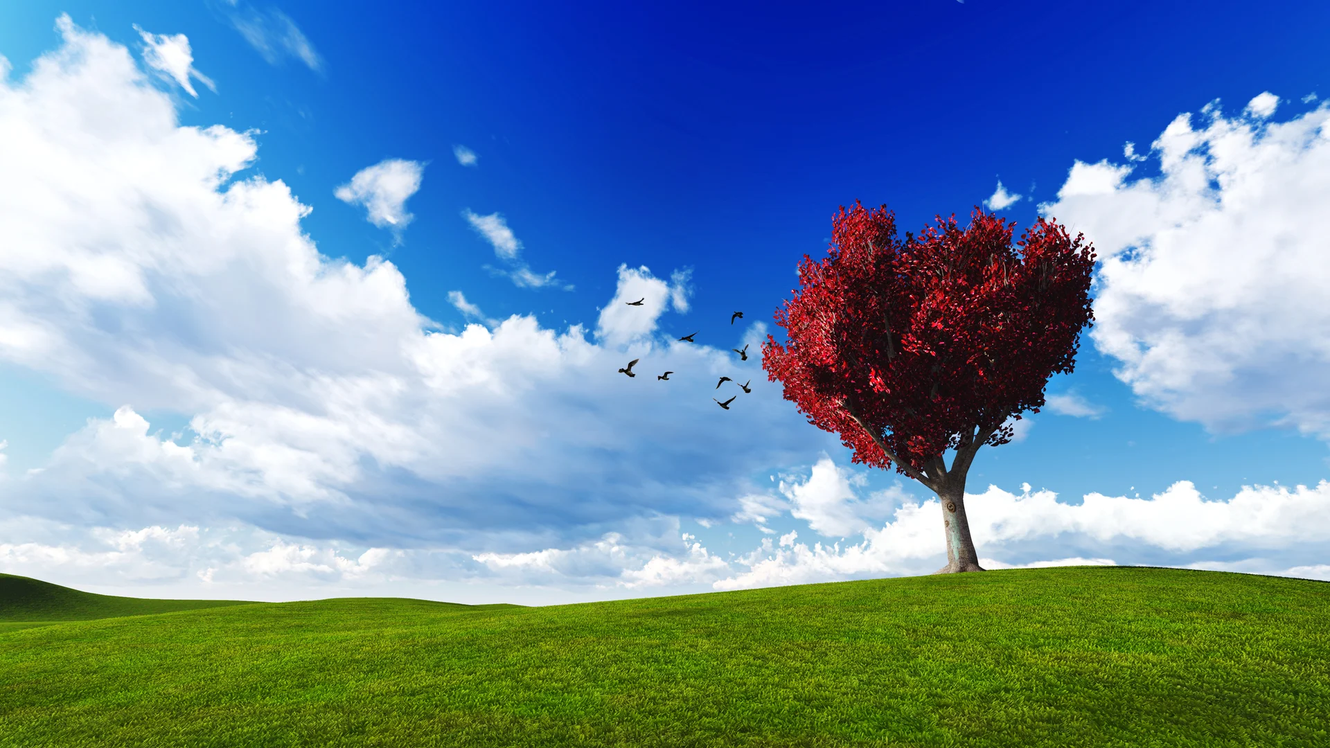 Trees Meadow. Nature wallpaper. 3840×2160px. Free download for personal use.