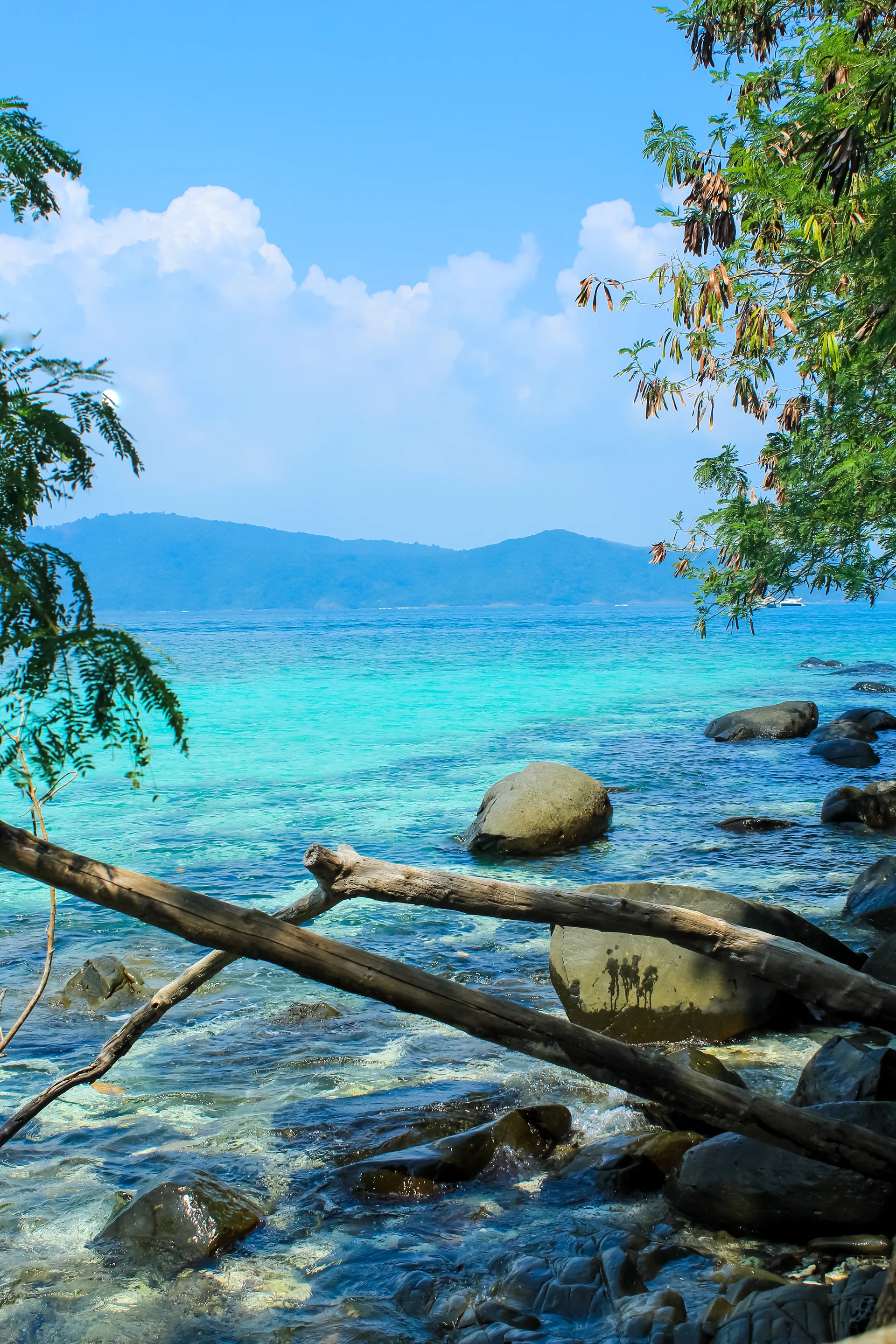 Trees Turquoise Waters Around Coral Island Phuket Thailand. Nature wallpaper. 3456×5184px. Free download for personal use.