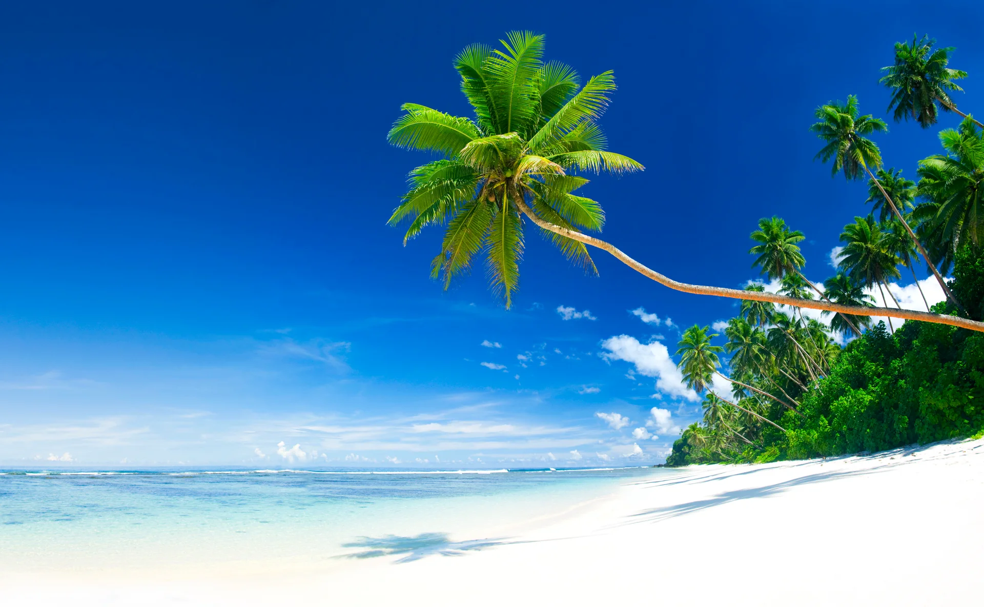 Tropical Beach Samoa. Nature wallpaper. 5000×3084px. Free download for personal use.