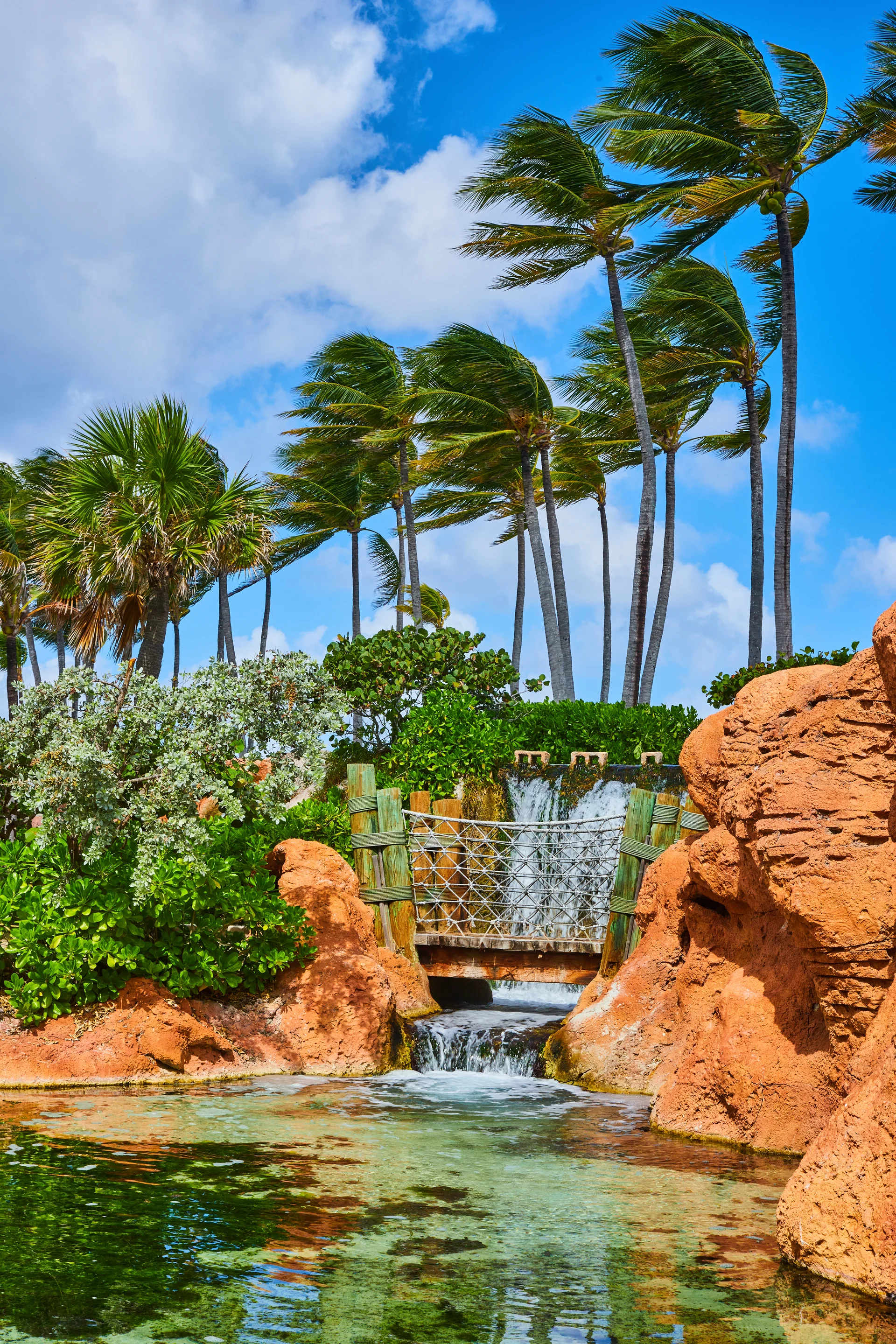 Tropical Palm Trees Waterfall Oasis Nassau. Nature wallpaper. 4160×6240px. Free download for personal use.
