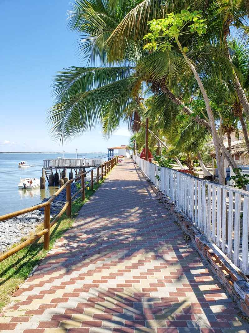 Tropical Scenery Coastal City Mangue Seco With Walkway Coconut Trees Pier Boats Grass