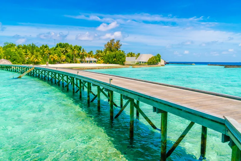 Tropical Travel Resort Perfect Rest