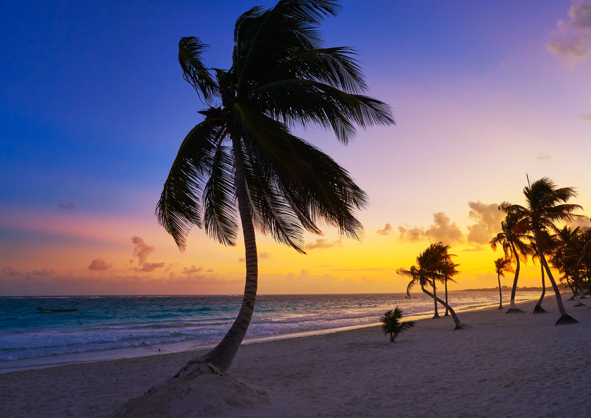 Tulum Beach Sunset Palm Tree Riviera Maya. Nature wallpaper. 7498×5304px. Free download for personal use.