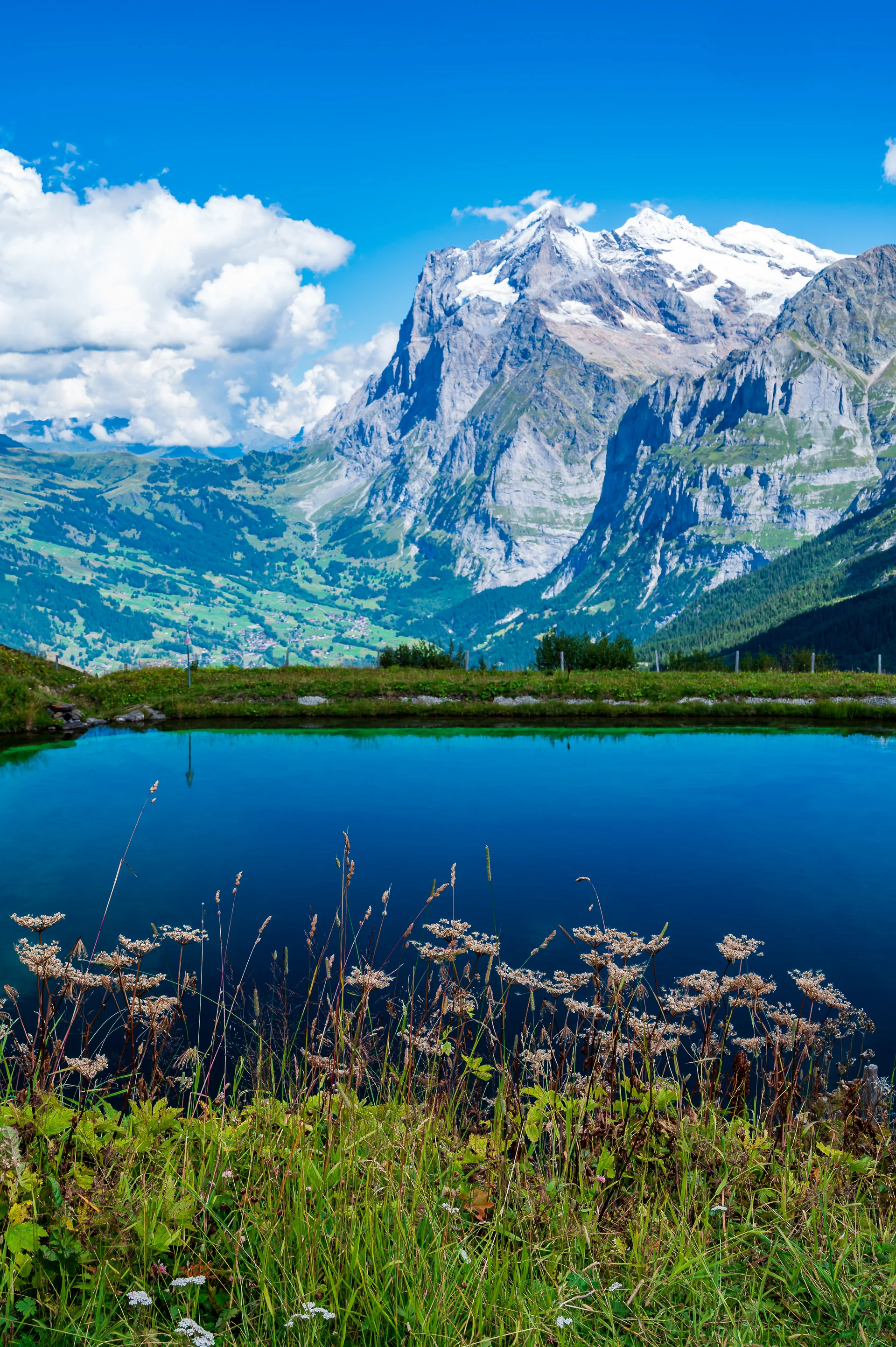 Valley Grindelwald. Uncategorized wallpaper. 4024×6048px. Free download for personal use.