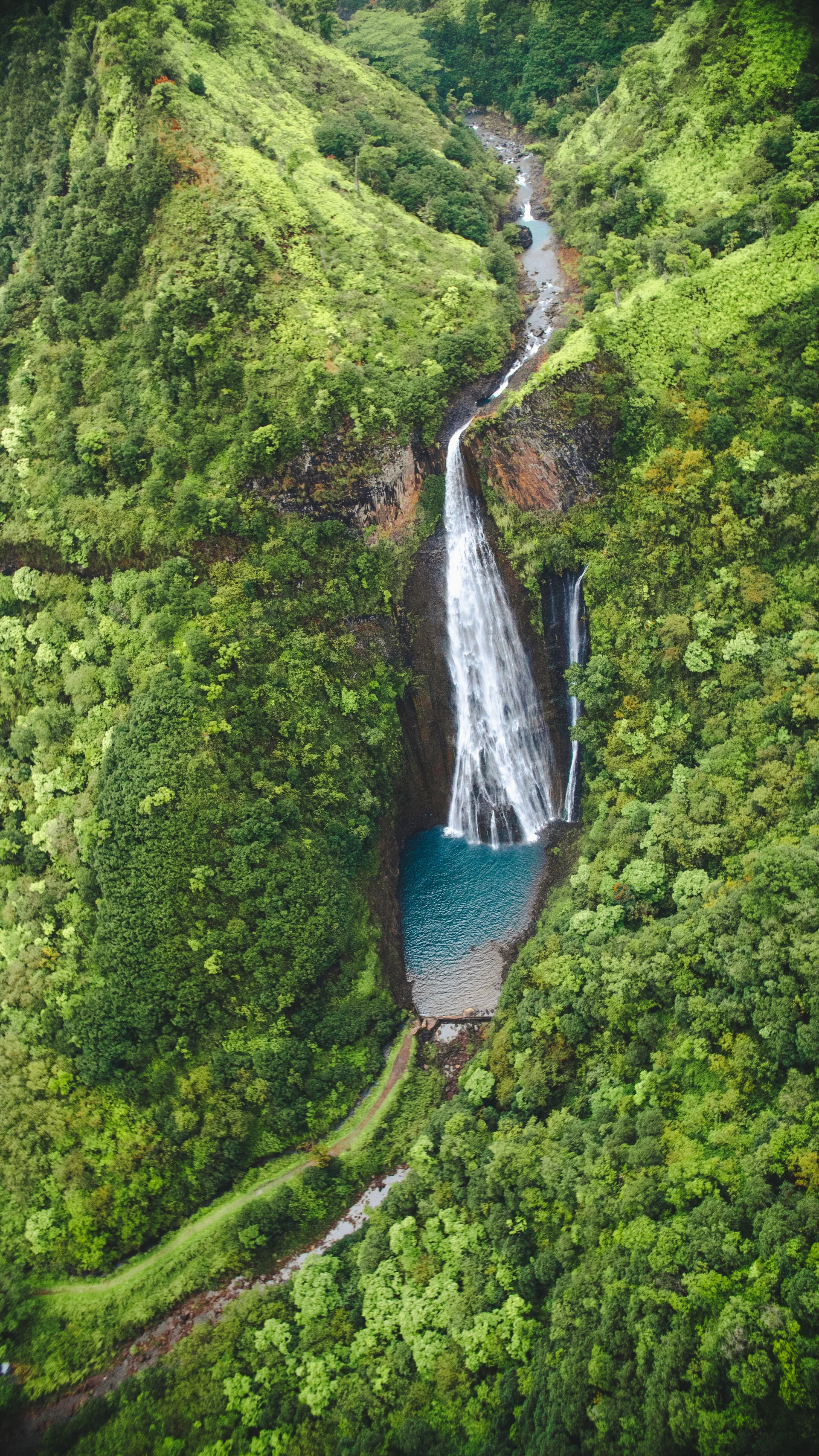 Vertical High Angle Shot Waterfall Forest Captured Kauai Hawaii. Nature wallpaper. 2592×4608px. Free download for personal…
