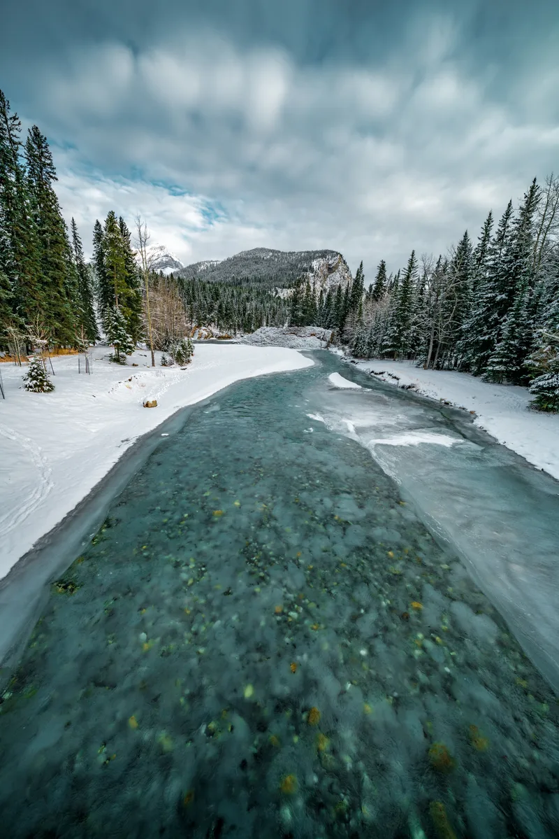 Vertical Shot Frozen Turquoise River Area Covered With Snow Forest